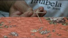 [ID: R0x_rPqA8BQ] Youtube Automatic