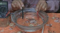 [ID: r52pmOWHf2U] Youtube Automatic