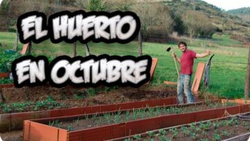 [ID: r61JTGlktWY] Youtube Automatic