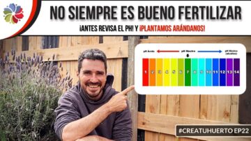 [ID: rA0nfcUR114] Youtube Automatic