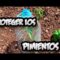 [ID: rakHQfNvgIQ] Youtube Automatic