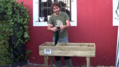 [ID: rFEt8ACzh4Y] Youtube Automatic