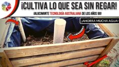 [ID: rIdInY8CvKU] Youtube Automatic