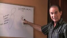 [ID: rk0p8g6m7vg] Youtube Automatic