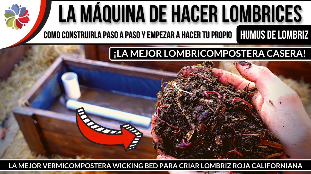 Precargar imagen