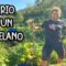 [ID: RpbnKuU8CJo] Youtube Automatic