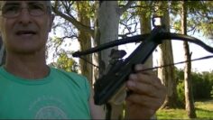 [ID: sdNcX9vABKc] Youtube Automatic