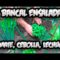[ID: ShckMtqA4T0] Youtube Automatic