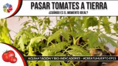 [ID: So7yBDkxLHk] Youtube Automatic