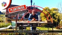 [ID: SpDOiSrnn8k] Youtube Automatic