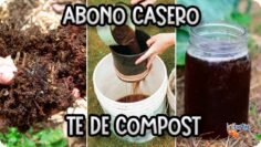 [ID: sTePzjO-Rpg] Youtube Automatic