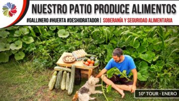 [ID: SXA7fErFZEo] Youtube Automatic