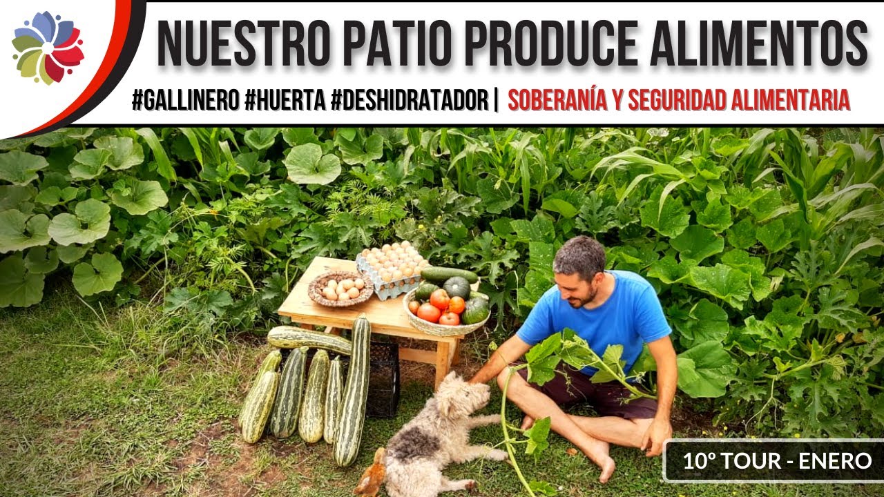 Precargar imagen