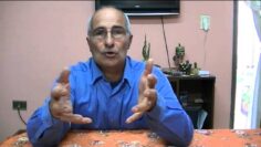 [ID: t1fMM353ML0] Youtube Automatic