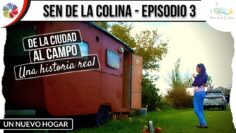 [ID: t33PCrO7fxM] Youtube Automatic