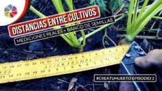 [ID: tb8_8YJJ8yQ] Youtube Automatic