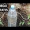 [ID: -TfLcjLHC8Y] Youtube Automatic