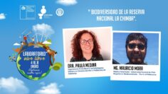 [ID: tREEaHTGdes] Youtube Automatic