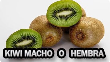 [ID: UH2ErMQOqi0] Youtube Automatic