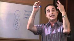 [ID: uQD55PZXlz8] Youtube Automatic