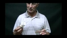 [ID: Ut8OeiZhPSw] Youtube Automatic