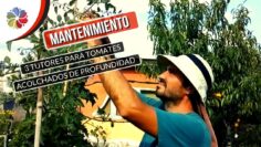 [ID: UXJyiJxCcYo] Youtube Automatic