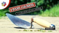 [ID: uYoE-fkbaqo] Youtube Automatic