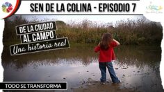 [ID: V3j-REvKEao] Youtube Automatic