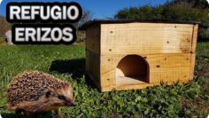 [ID: vj90jb1kzH4] Youtube Automatic