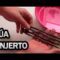 [ID: vK1TQlhHTX8] Youtube Automatic