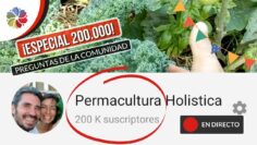 [ID: Vs7aLY5KEcI] Youtube Automatic