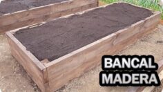 [ID: VvNMsY9Tnk4] Youtube Automatic