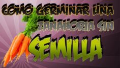 [ID: w2SN02bLq1I] Youtube Automatic