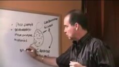 [ID: wa1Q5s2sG6E] Youtube Automatic