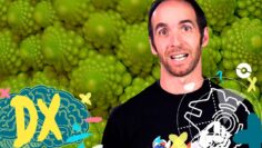 [ID: Wea_1L-C9Xo] Youtube Automatic