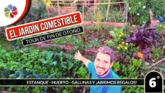 [ID: wEmQpW6TjrQ] Youtube Automatic