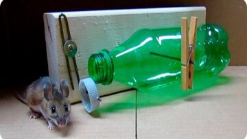 [ID: xkNIXmVMEmA] Youtube Automatic