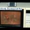 [ID: XP5oLEks9_E] Youtube Automatic