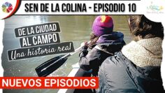 [ID: Y7wioB8RnDA] Youtube Automatic