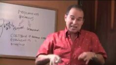 [ID: _YBZxXYu-ww] Youtube Automatic