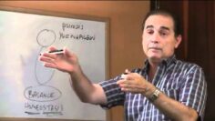 [ID: z7XCxbxheLg] Youtube Automatic