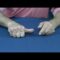 [ID: ZIBN-J7-uC8] Youtube Automatic