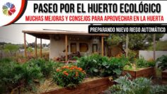 [ID: ZJDjZ3vyHYk] Youtube Automatic