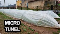 [ID: ZJQrQuUY-DY] Youtube Automatic