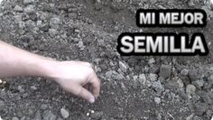 [ID: ZmYZ1bBePFo] Youtube Automatic