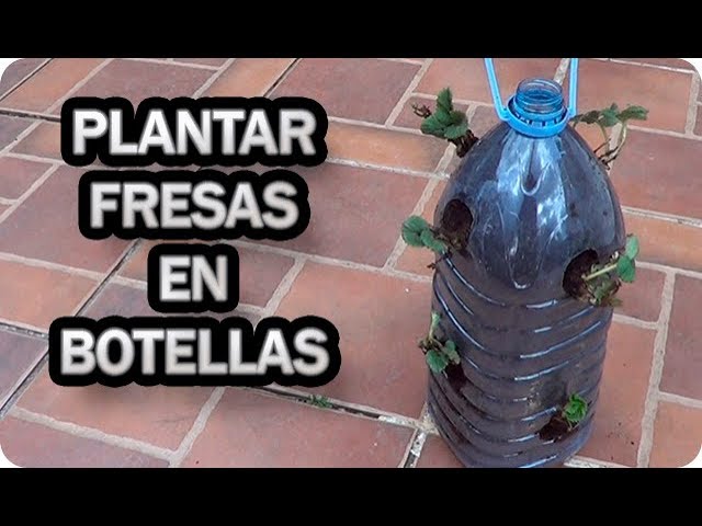 Precargar imagen