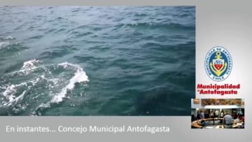 [ID: -ZTUy9Gjt28] Youtube Automatic