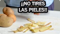 [ID: ZwBTuZsq3Mc] Youtube Automatic