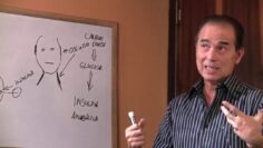 Privado: [ID: 0F8jJulyRu0] Youtube Automatic