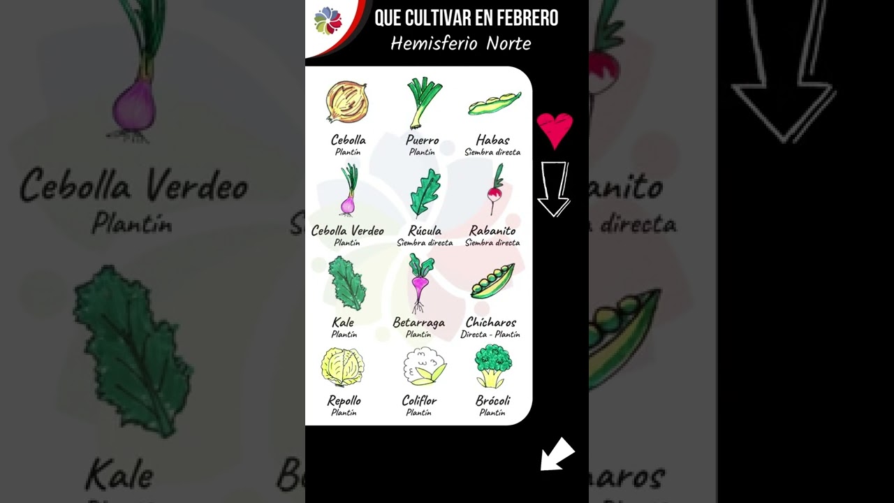 Precargar imagen